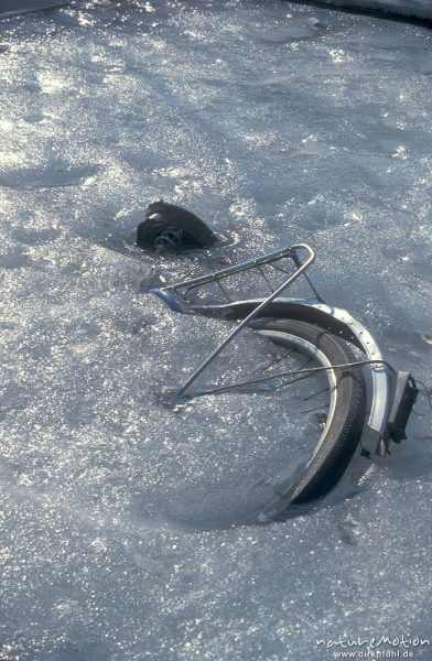 im Eis eingefrorenes Fahrrad, Leinekanal, Göttingen, Deutschland