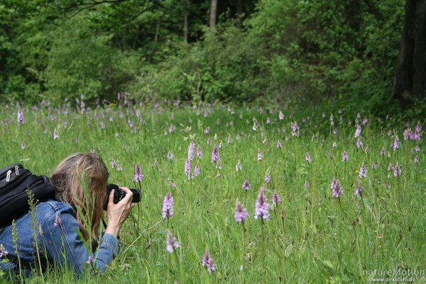 Fotospaziergang Orchideen auf dem Kerstlingeröder Feld