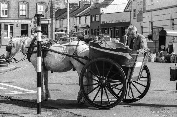 Pferdekutsche, Galway, Irland