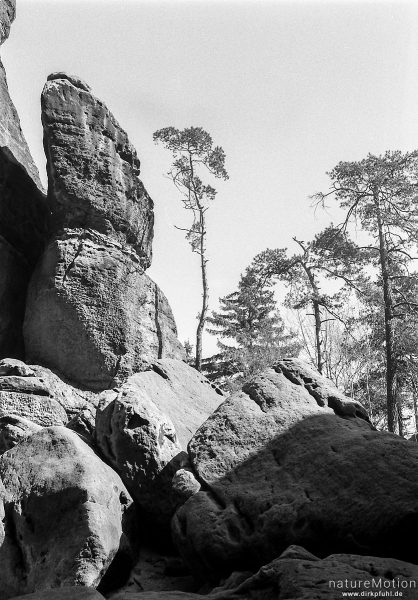 Elbsandsteingebirge, Königstein, Deutschland