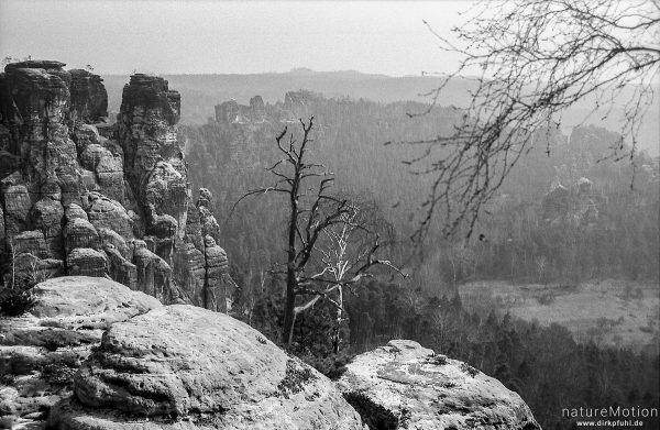 Bastei, Elbsandsteingebirge, Königstein, Deutschland