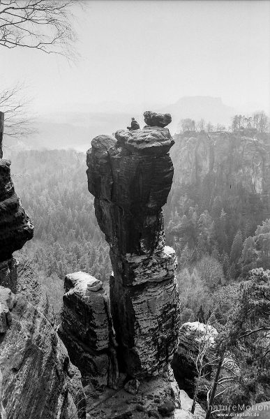 Kletterer, Bastei, Elbsandsteingebirge, Königstein, Deutschland