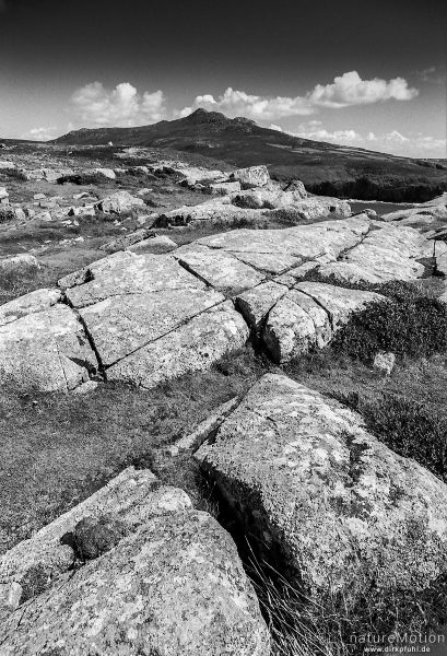 Steinformation, Pembrokeshire Coastpath, Wales, England - Großbrittanien
