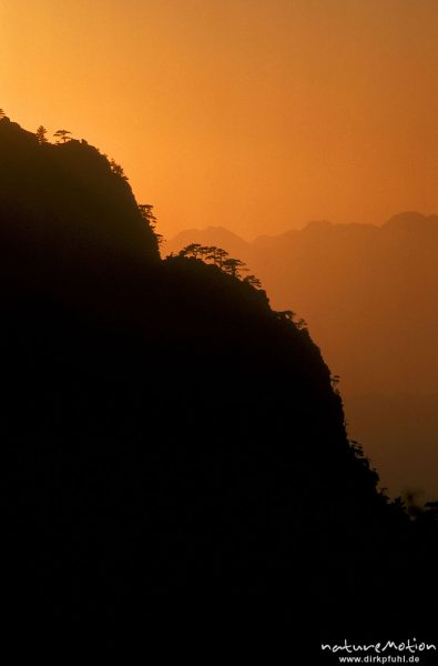 Silhouette eines baumbestandenen Grates, Bergzüge im Abendrot, Caruzzo-Hütte, Korsika, Frankreich