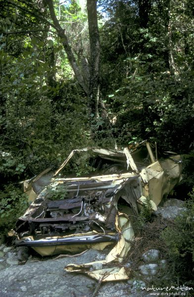 vom Gebirgsbach geformtes Autowrack, Restonica-Tal, Korsika, Frankreich