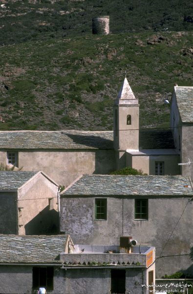 Port de Centuri, Häuser und Genuesenturm, Korsika, Frankreich