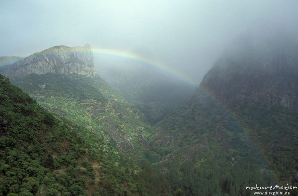 Regenbogen, Nebelwald, Gomera, Spanien