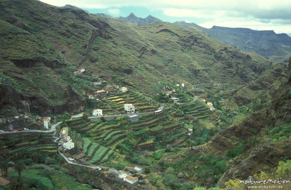 Terrassen und Häuser, Valle Gran Rey, Gomera, Spanien