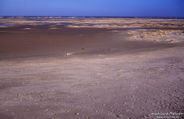 Strand und Sandplatte bei Ebbe, Spiekeroog, Deutschland