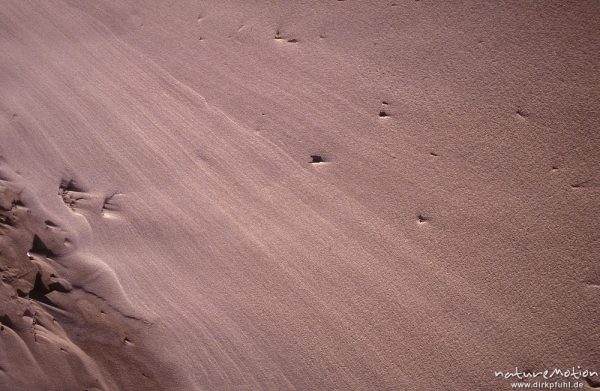 Windschliff in feuchtem Sand, Linienmuster ähnlich Holzmaserung, Spiekeroog, Deutschland