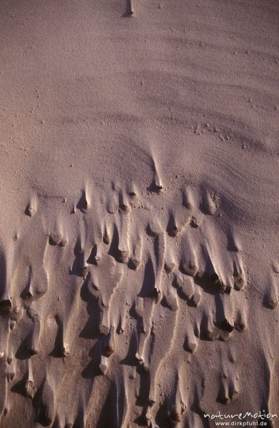Windschliff in feuchtem Sand, Spiekeroog, Deutschland