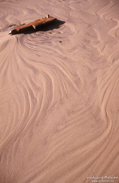 Treibholz zwischen sanft geschwungenen Linien des Sandes, Meer, Strand, Watt, Spiekeroog, Deutschland