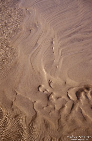 Sandmuster, ablaufendes Wasser am Rand eines Priels, Spiekeroog, Deutschland