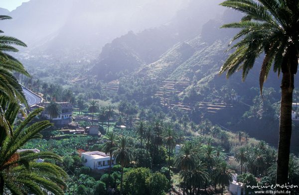 terrassierte Hänge mit Bebauung, Valle Gran Rey, Gomera, Spanien