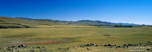 Nomadenlager in einer Flussschleife des Ulaan Gol, Ail mit mehreren Jurten (Ger), Viehherde, Changai, Mongolei