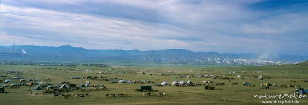 Naadam-Camp südlich von Ullanbaatar: zum Naadam-Fest ziehen die Nomaden aus weitem Umkreis zur Hauptstadt, Zelte, Jurten und Pferdeherden, Ulaanbaatar - Ulan Bator, Mongolei