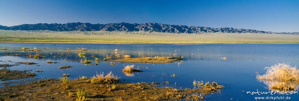 See in der Gobi, Abendlicht, Wüste Gobi, Mongolei