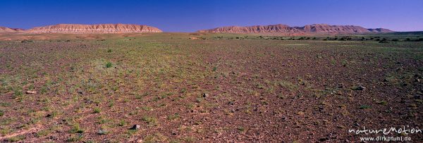Erosionsmuster und verwitterte Felsformation mit hellem Gesteinsband, spärliche Vegetation, Wüste Gobi, Mongolei