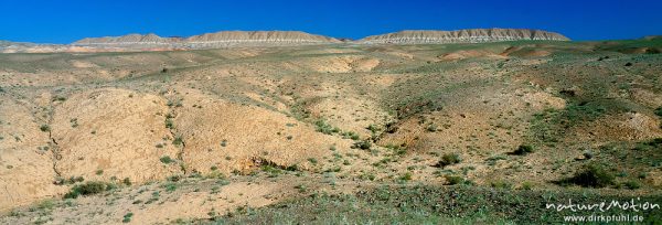 Erosionsmuster und verwitterte Felsformation mit hellem Gesteinsband, spärliche Vegetation, Wüste Gobi, Mongolei