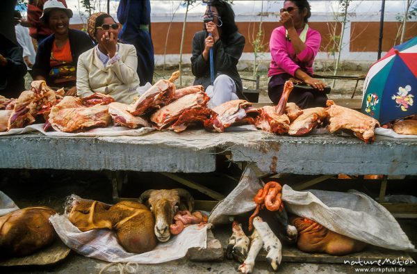 Fleischverkäufer und ihre Ware, Kopf einer Ziege, Markt von Chowd, Chowd, Mongolei
