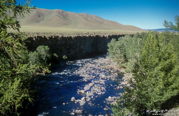 Tal des Orchon, Schlucht und Lerchenwald, Changai, Mongolei