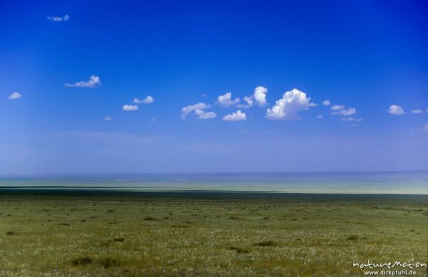 weite, ebene Steppe unter blauem Himmel, Wüste Gobi, Mongolei