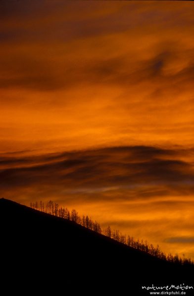 Silhouette eines Berghangs, mit Lärchen bewachsen, vor rot bewölktem Himmel, Kloster Amarbajasgalant, Mongolei