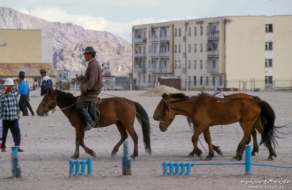 Pferde, Marktplatz von Chowd, Chowd, Mongolei