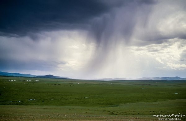 Regenschauer über der Steppe, Changai, Mongolei