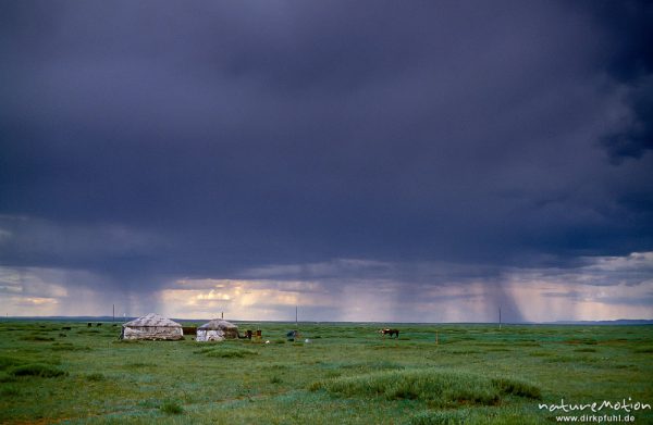 Regenschauer über der Steppe, grau verhangener Himmel über zwei nassen Jurten, Changai, Mongolei