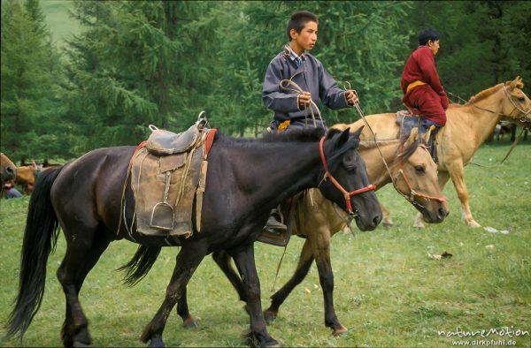 Reiter führt zweites Pferd, Mongolei, , Mongolei