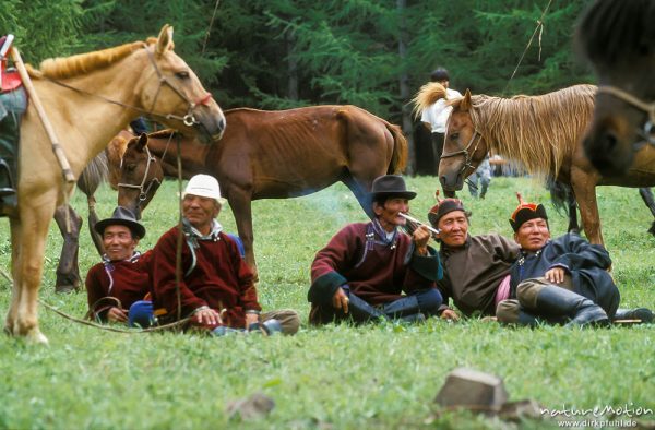 alte Männer im Gras, Treffen in der Steppe, Mongolei, , Mongolei