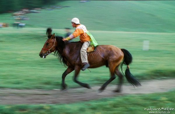 junger Reiter auf Pferd, Zielleinlauf, Ulaanbaatar – Ulan Bator, Mongolei