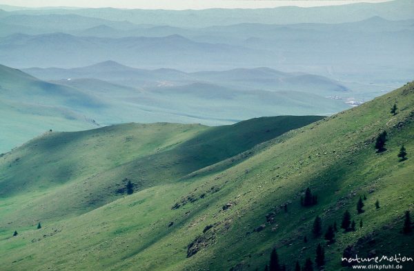 grüne Höhenzüge in der Steppe, südlich von Ulaanbaatar, Ulaanbaatar - Ulan Bator, Mongolei