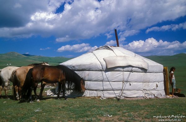Jurte mit angebundenen Pferden, , Mongolei