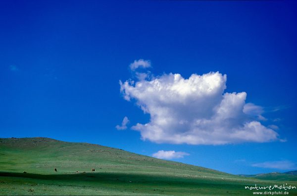 Wolke über der Steppe, , Mongolei