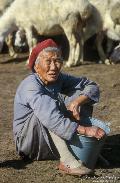 alte Frau mit Melkeimer, am Boden sitzend, , Mongolei