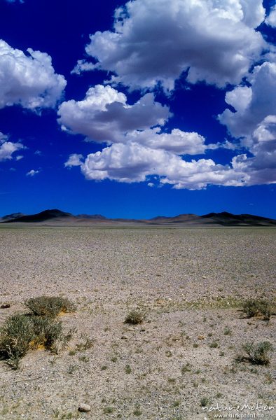 Wolken über weiter Steppe, karge Halbwüste, Nord-West-Gobi, Wüste Gobi, Mongolei