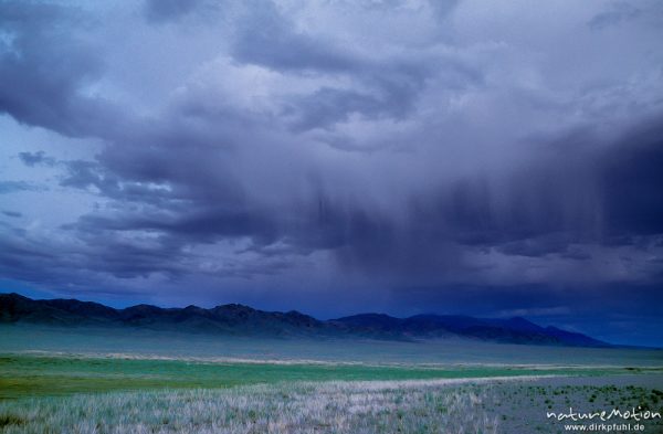 Regen über der Steppe, Changai, Mongolei