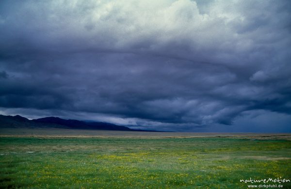 Regenwolken über der Steppe, Changai, Mongolei