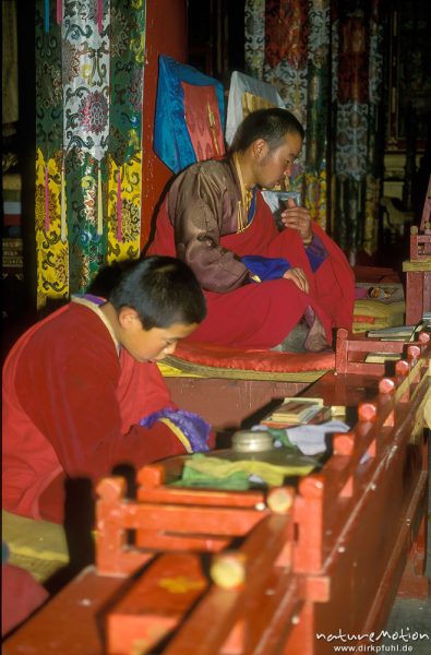 alter und junger Mönch beim lesen von Gebeten, Kloster Amarbajasgalant, Selenge-Orchon-Bergland, Mongolei