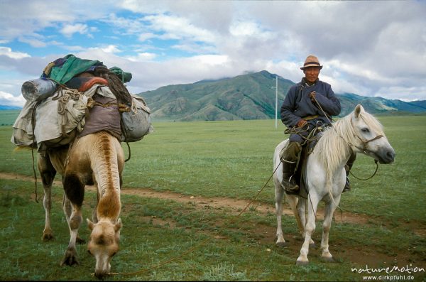 Nomade auf Pferd und Lastenkamel, auf Wanderschaft, Changai, Mongolei