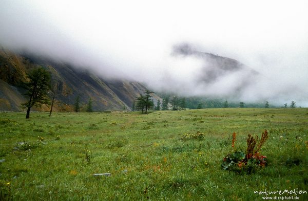 Nebel im Bergland am westlichen Ufer des Chowsgöl Nuur, Chowsgöl Nuur, Mongolei