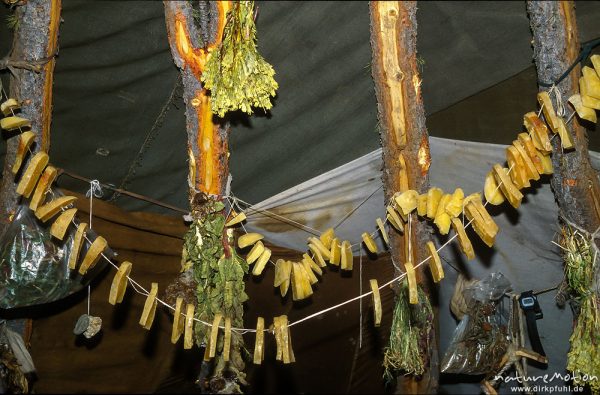 Aruul und Kräuter, zum trocknen aufgehängt unter dem Zeltdach, Chowsgöl Nuur, Mongolei