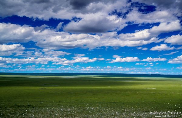flache, grüne Steppe, Wolkenschatten, Wüste Gobi, Mongolei