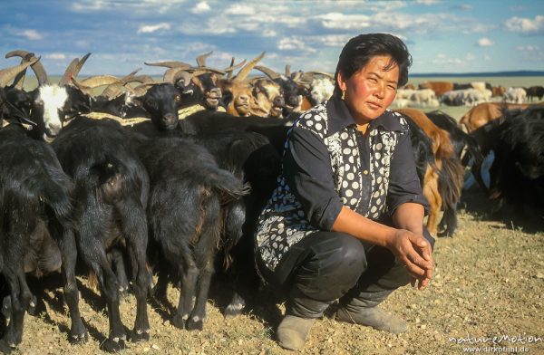 Mongolin vor ihren Ziegen, Wüste Gobi, Mongolei