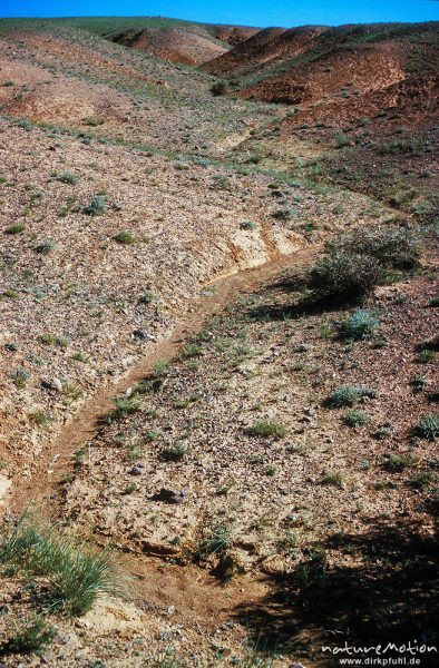 ausgetrockneter Bachlauf, Wüste Gobi, Mongolei