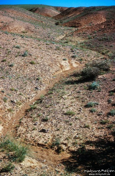 ausgetrockneter Bachlauf, Wüste Gobi, Mongolei