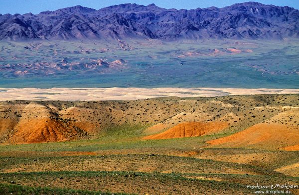 schütter mit Gras bewachsene Halbwüste, erodierte Höhenzüge, Düneband von Chongorin Els, Wüste Gobi, Mongolei