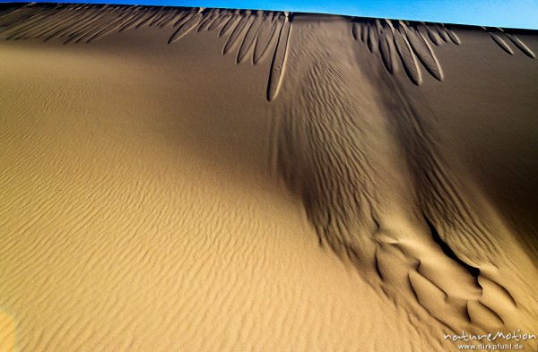 Sand fließt von einer Dünenkante abwärts, Licht- und Schattenspiele in den Wanderdünen von Chongorin, Chongorin Els, Mongolei